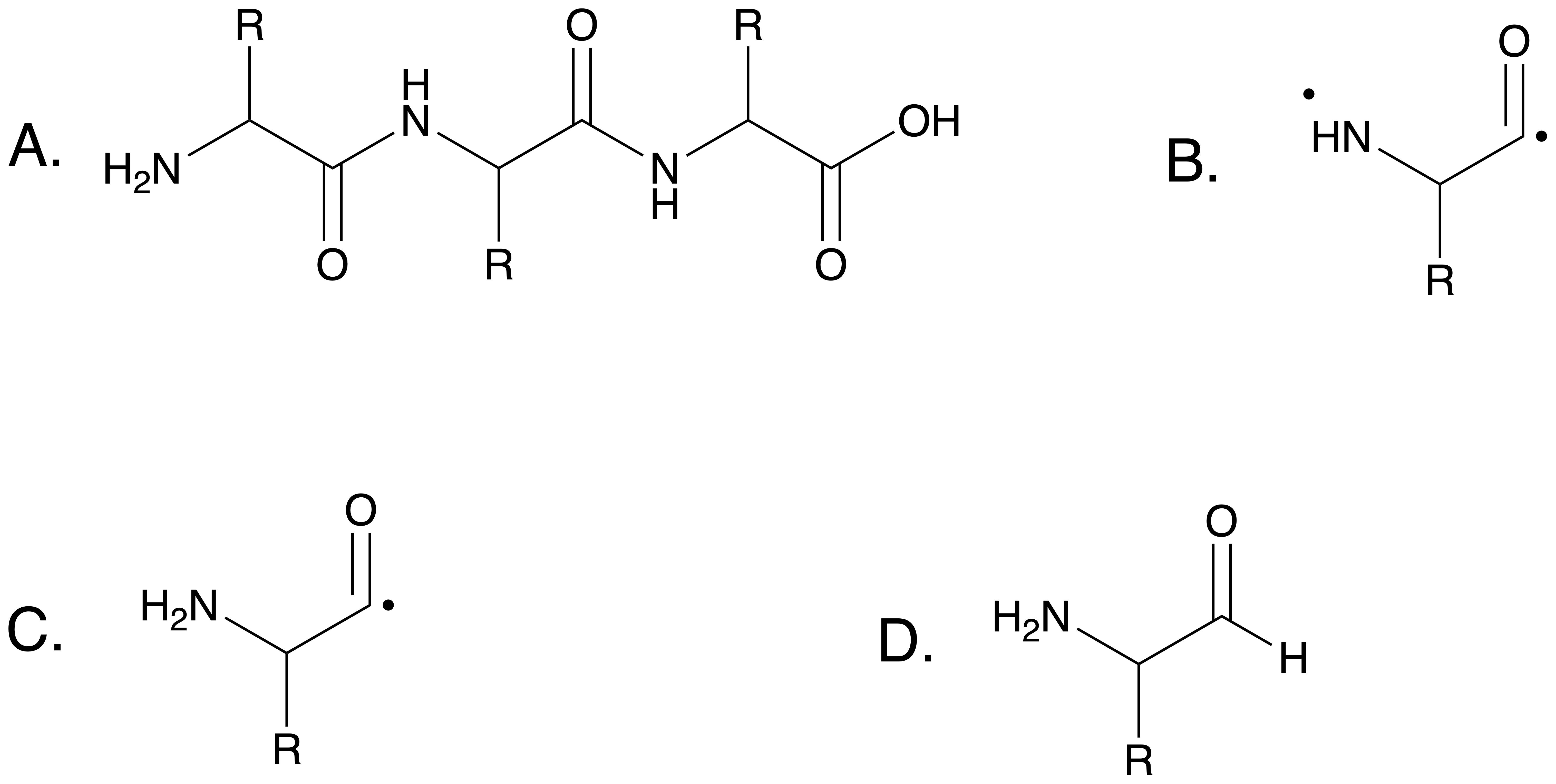 An illustration of the MD-SAPT repair process on amino acids. When selected from a chain the residue has radical electrons which are replaced by hydrogen atoms